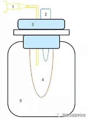 根管預備系統 根管預備系統
