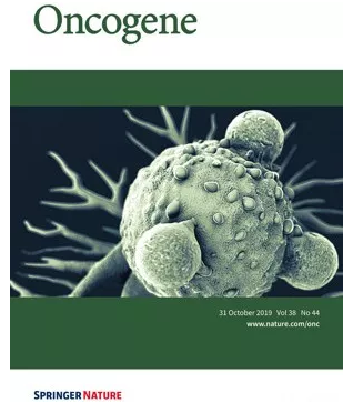 牙周炎癥可以誘發(fā)乳腺癌細胞遠處轉(zhuǎn)移 牙周炎癥可以誘發(fā)乳腺癌細胞遠處轉(zhuǎn)移