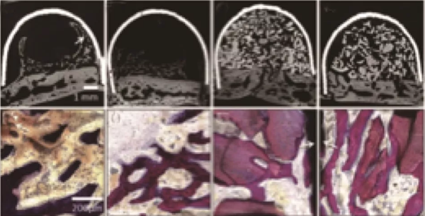 G06{%L1E06G45IZ%K(SKK)C.png G06{%L1E06G45IZ%K(SKK)C.png