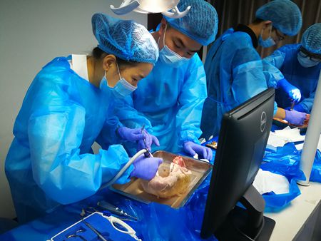 張東星老師杭州微創(chuàng)拔牙課實操培訓(xùn)分享