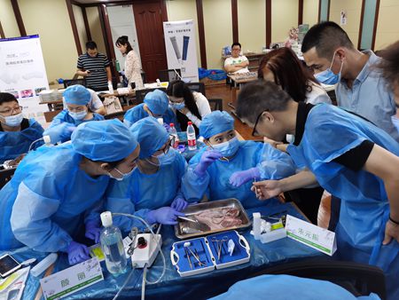 張東星老師濟南微創(chuàng)拔牙課 張東星老師濟南微創(chuàng)拔牙課