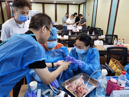 張東星老師濟南微創(chuàng)拔牙課 張東星老師濟南微創(chuàng)拔牙課