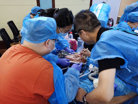 張東星老師濟南微創(chuàng)拔牙課 張東星老師濟南微創(chuàng)拔牙課