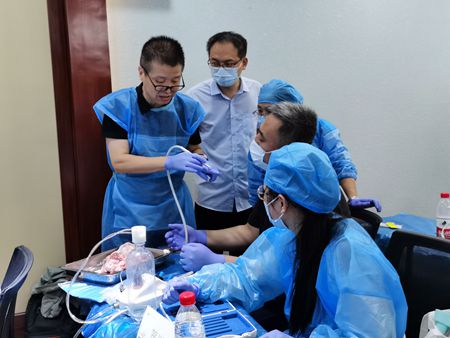 張東星老師濟南微創(chuàng)拔牙課 張東星老師濟南微創(chuàng)拔牙課