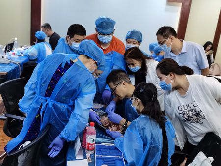 張東星老師濟南微創(chuàng)拔牙課 張東星老師濟南微創(chuàng)拔牙課