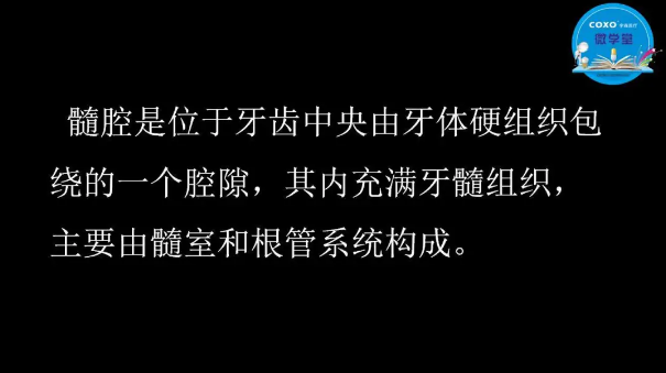 (第二十五期)微學(xué)堂回顧 (第二十五期)微學(xué)堂回顧