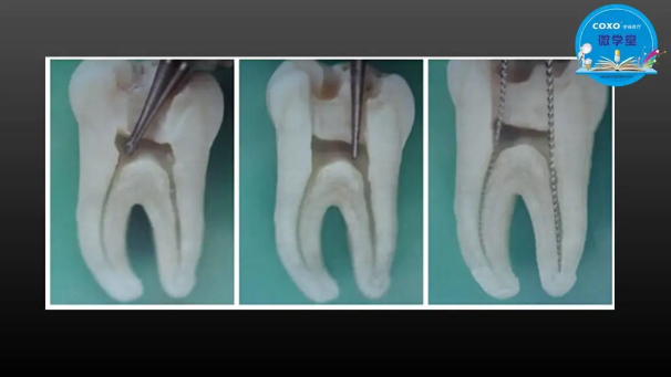 (第二十五期)微學(xué)堂回顧 (第二十五期)微學(xué)堂回顧