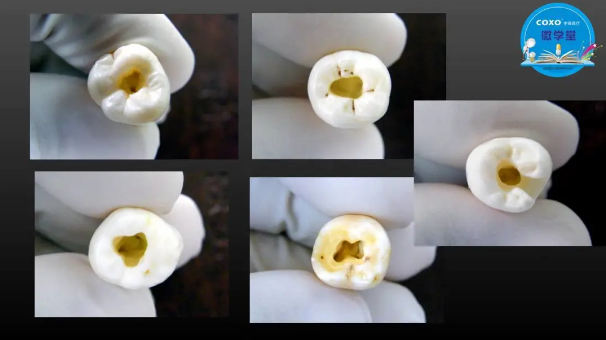 (第二十五期)微學(xué)堂回顧 (第二十五期)微學(xué)堂回顧