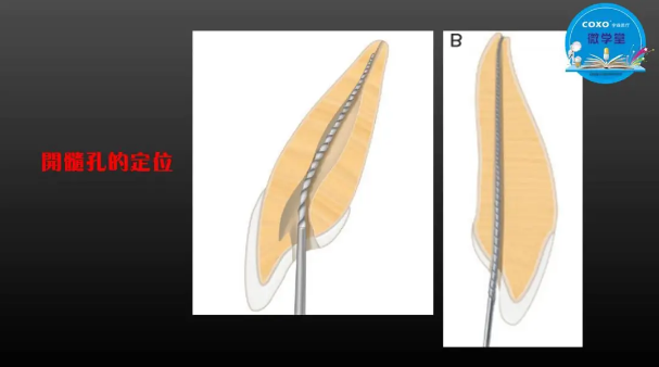 (第二十五期)微學(xué)堂回顧 (第二十五期)微學(xué)堂回顧