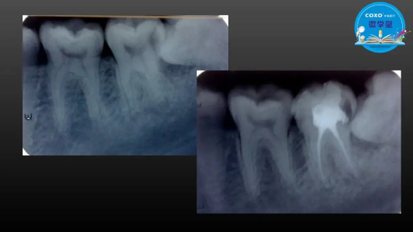 (第二十五期)微學(xué)堂回顧 (第二十五期)微學(xué)堂回顧