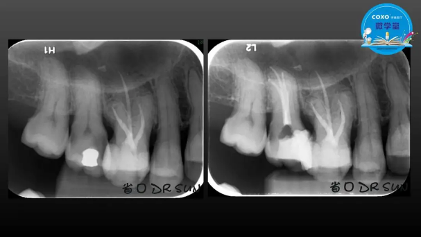 (第二十五期)微學(xué)堂回顧 (第二十五期)微學(xué)堂回顧