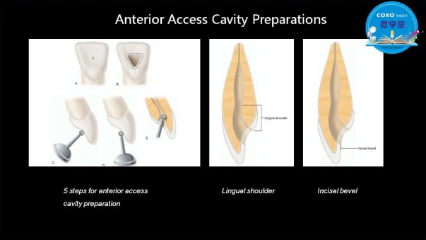 (第二十五期)微學(xué)堂回顧 (第二十五期)微學(xué)堂回顧