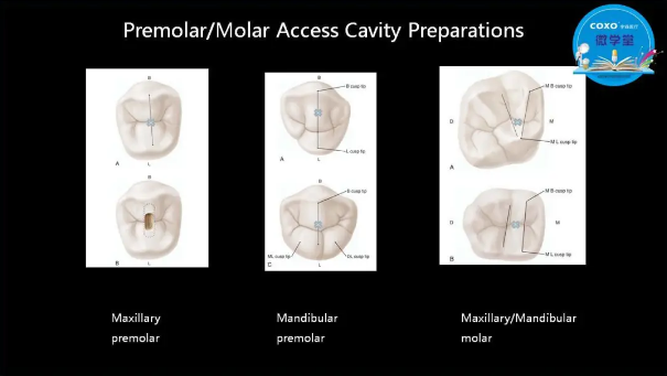 (第二十五期)微學(xué)堂回顧 (第二十五期)微學(xué)堂回顧