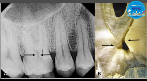 (第二十五期)微學(xué)堂回顧 (第二十五期)微學(xué)堂回顧