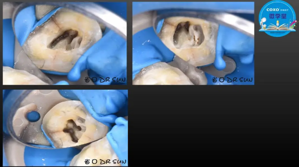 (第二十五期)微學(xué)堂回顧 (第二十五期)微學(xué)堂回顧