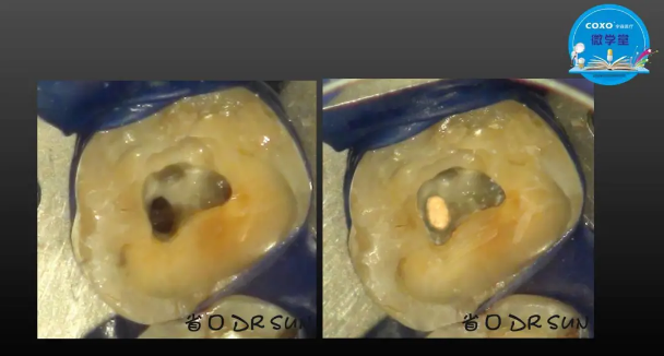 (第二十五期)微學(xué)堂回顧 (第二十五期)微學(xué)堂回顧