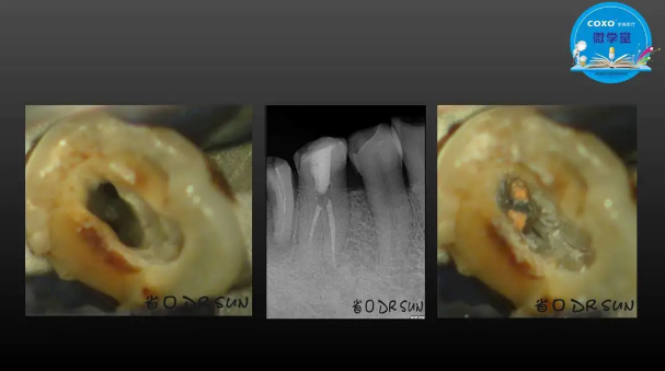 (第二十五期)微學(xué)堂回顧 (第二十五期)微學(xué)堂回顧