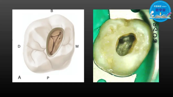 (第二十五期)微學(xué)堂回顧 (第二十五期)微學(xué)堂回顧
