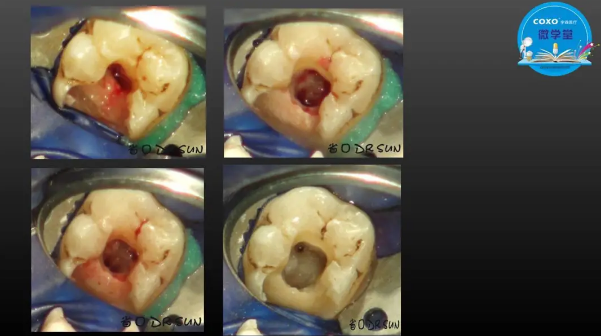 (第二十五期)微學(xué)堂回顧 (第二十五期)微學(xué)堂回顧