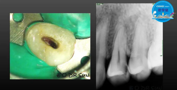 (第二十五期)微學(xué)堂回顧 (第二十五期)微學(xué)堂回顧
