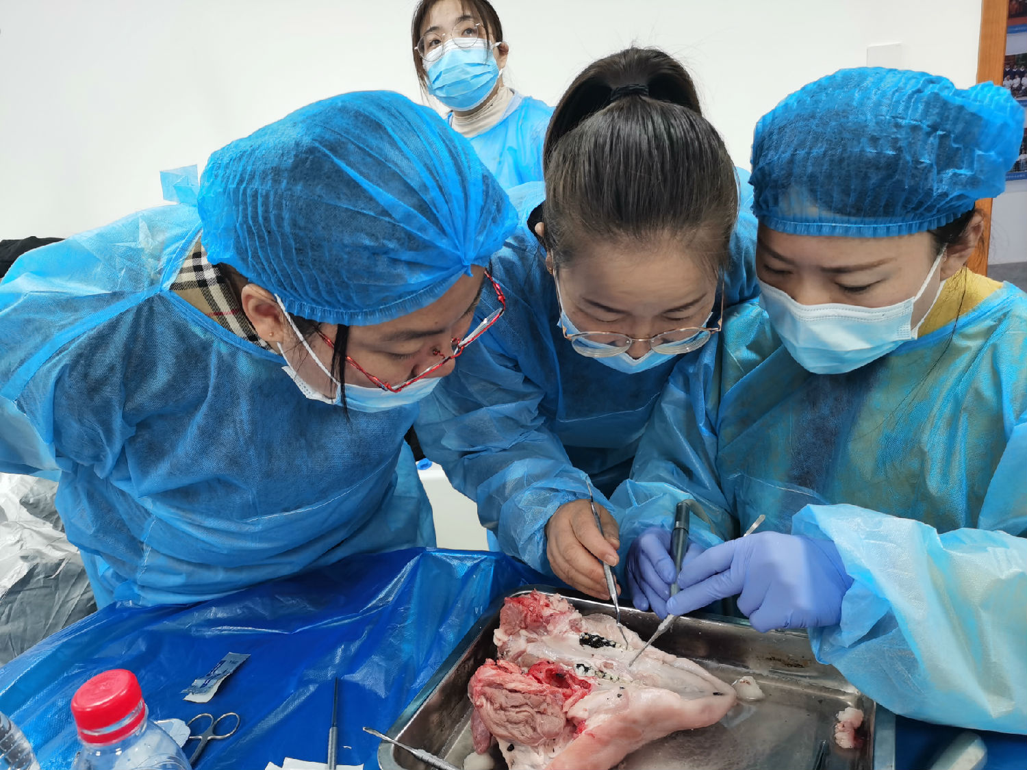 張東星老師蘭州微創(chuàng)拔牙課學(xué)員實(shí)操 張東星老師蘭州微創(chuàng)拔牙課學(xué)員實(shí)操