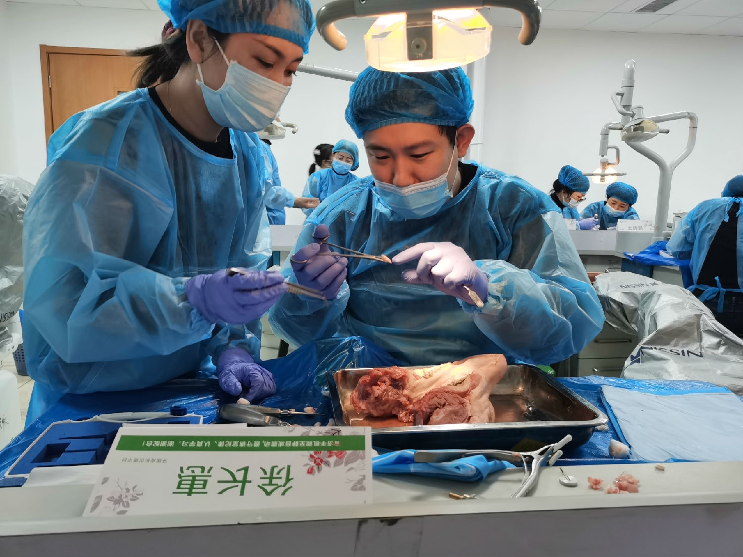 張東星老師蘭州微創(chuàng)拔牙課學(xué)員實(shí)操 張東星老師蘭州微創(chuàng)拔牙課學(xué)員實(shí)操