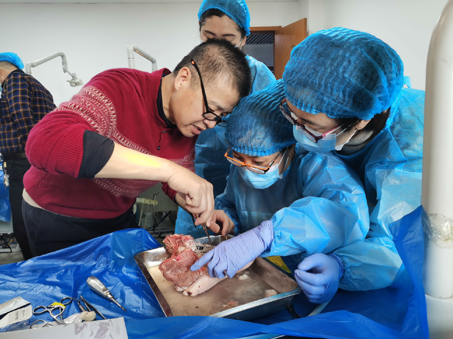 張東星老師蘭州微創(chuàng)拔牙課學(xué)員實(shí)操 張東星老師蘭州微創(chuàng)拔牙課學(xué)員實(shí)操