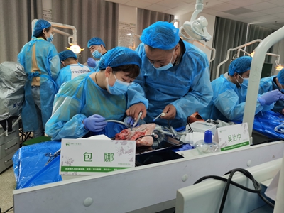 張東星老師蘭州微創(chuàng)拔牙課牙醫(yī)實(shí)操 張東星老師蘭州微創(chuàng)拔牙課牙醫(yī)實(shí)操