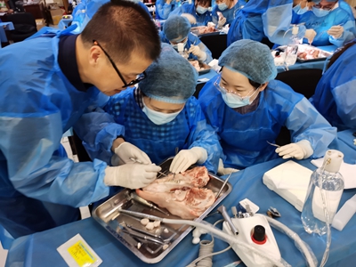 張東星老師北京微創(chuàng)拔牙課實操展示 張東星老師北京微創(chuàng)拔牙課實操展示