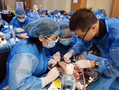 張東星老師北京微創(chuàng)拔牙課實操展示 張東星老師北京微創(chuàng)拔牙課實操展示
