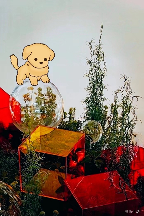 經(jīng)典兒歌 經(jīng)典兒歌