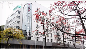 巴基斯坦歌曲《我愛你，至死不渝》（手風琴）