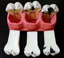 免費區(qū) 免費區(qū)